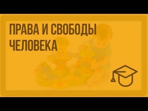 Права и свободы человека и гражданина видеоурок