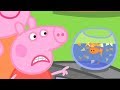 Peppa Wutz | Beim Tierarzt 🐟 Peppa Pig Deutsch Neue Folgen | Cartoons für Kinder