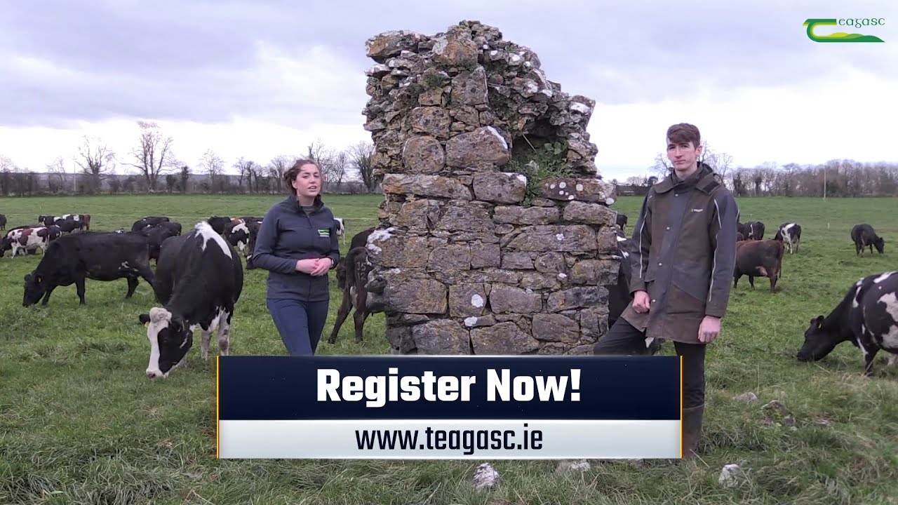 DairyCon20 - Day 2 - The Dairy Edge Live