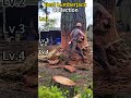 Logging Compilation: The Most Satisfying Tree Cutting Moments 🌲🪓🔥#logging #treecutting #satisfying