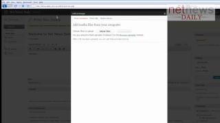 How to Log in and Post Your First Article on Net News Daily