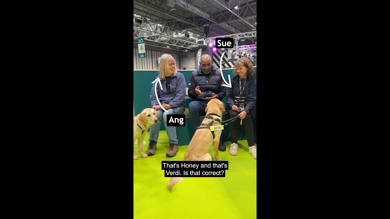 It's National Puppy Day! #GuideDogsUK #GuideDogs #ShaunWallace #NationalPuppyDay #Volunteer #Shorts