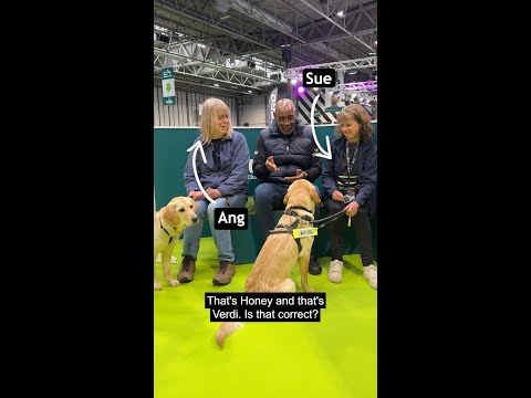 It's National Puppy Day! #GuideDogsUK #GuideDogs #ShaunWallace #NationalPuppyDay #Volunteer #Shorts