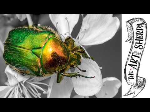 How to paint Metallic effects Beetle painting tutorial for beginners step by step