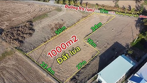 1000m2 đất lúa cho chuyển thổ cư ngay Tân Lân Cần Đước , ra quốc Lộ 50 2.5km 0968.079.561