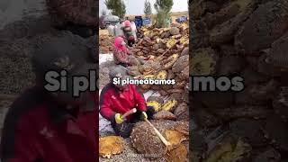 Historias epicas #redditstories #reddit #askreddit #redditreadings #confesiones