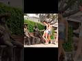 Statue Comes to Life PRANK! SCARING Girls Compilation #shorts