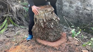 Unique Projects to Revive Damaged Tree Stumps Creating Best Woodworking Products - Woodworking skill