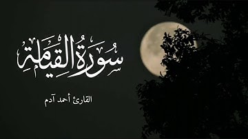 تلاوة جميلة للقارئ أحمد آدم | سورة القيامة