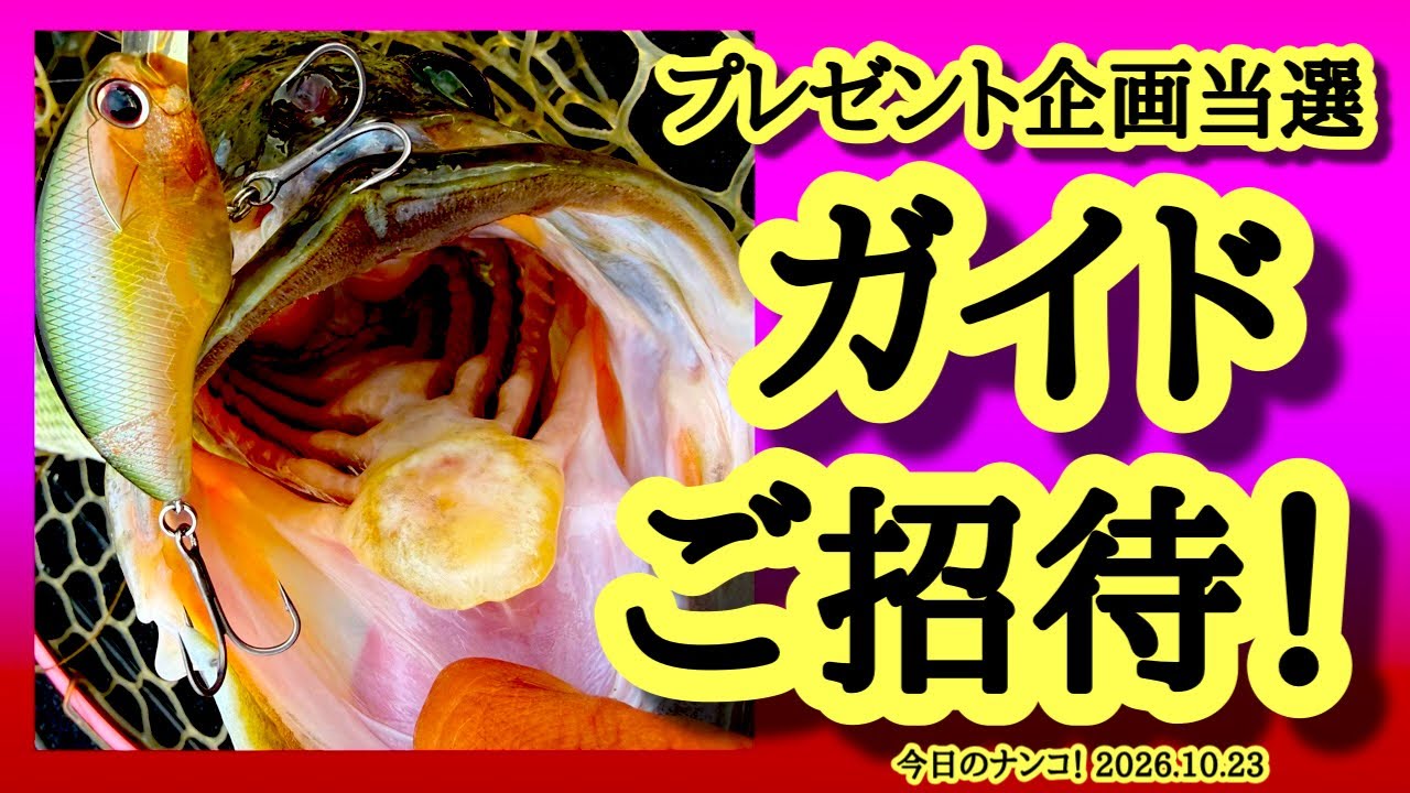 【今日のナンコ！2026.10.23】ガイドご招待！【琵琶湖バス釣り】