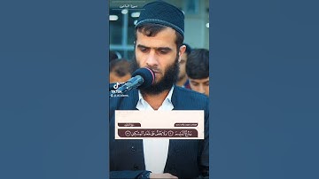 تلاوة جميلة لسورة الماعون للشيخ رزكار محمد الكردي #quran #قرآن #islam #fyp #explore #islamicstatus