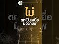 สวัสดีปีใหม่ พ.ศ.๒๕๖๗ - HAPPY NEW YEAR 2024 | กระทรวงดิจิทัลฯ [DE]