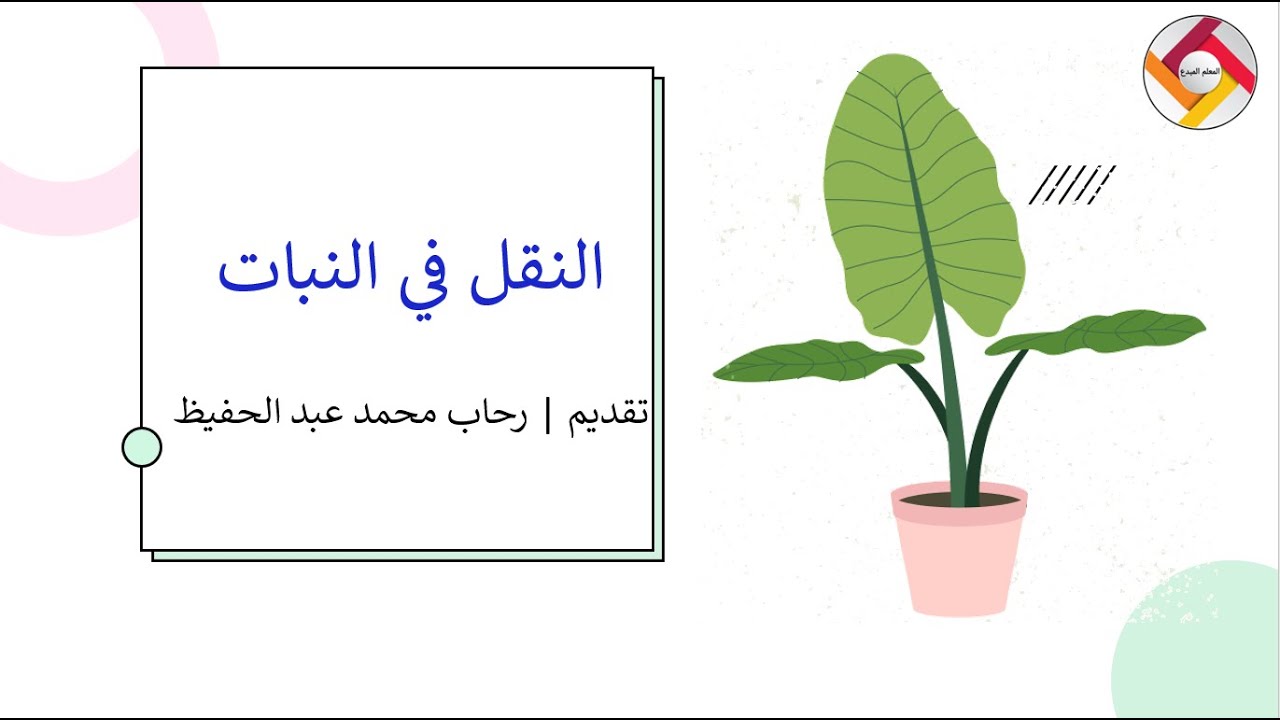 النقل في النبات| أحياء الصف التاسع |قناة المعلم المبدع