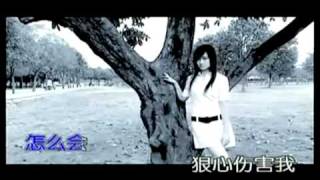 郑源-怎么会狠心伤害我 by yesphun 55,585 views 13 years ago 4 minutes, 38 seconds