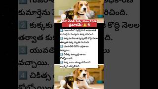 #RabiesAwareness #DogBiteAlert #HealthSafety #PublicAwareness #TeluguNews #LifeSavingInfo