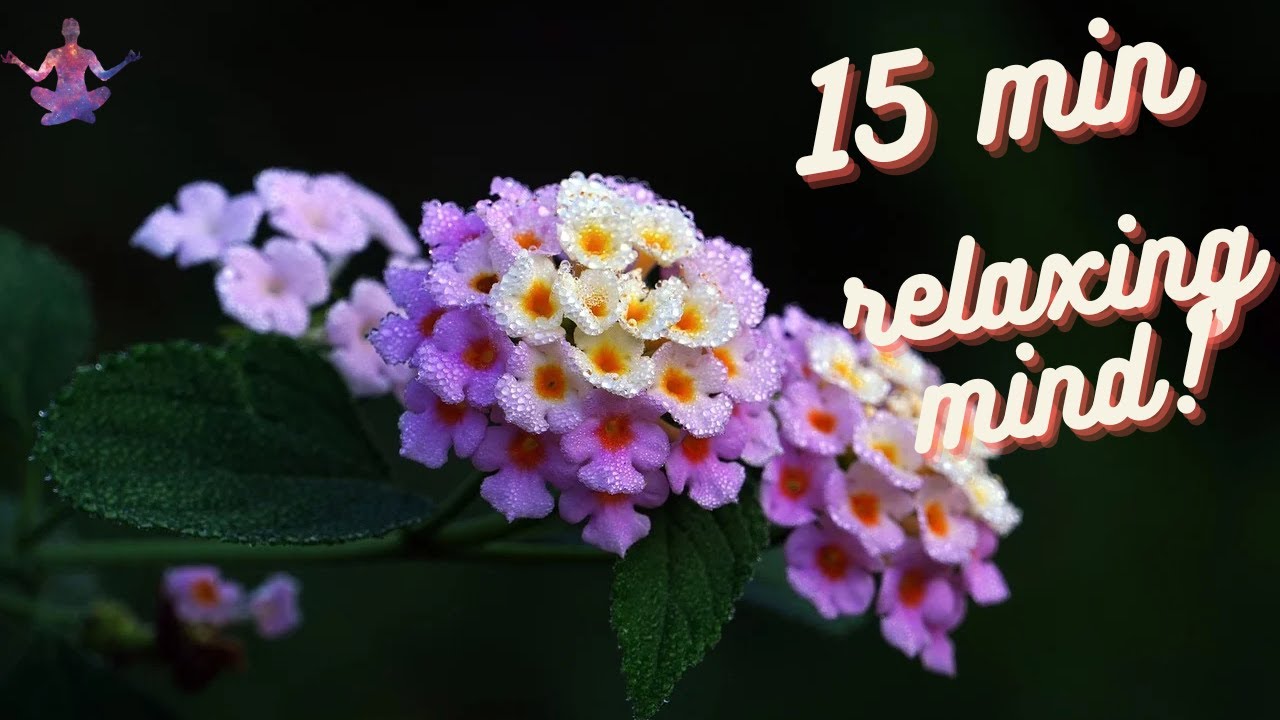 15 min meditation music relax mind body positive energy sleeping music ...