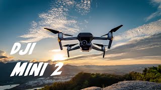 Is the DJI Mini 2 Still Worth it in 2025