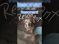 My first Album "Resonant" coming soon!