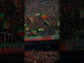 نور ضلامي ساطعة Mca Mouloudia