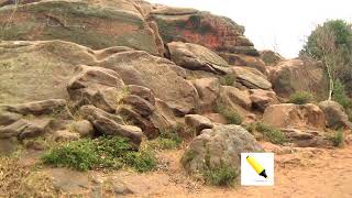 Weird WIRRAL Wonders Weird WIRRAL Wonders
