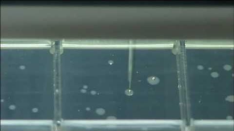 Системы Qpix производства компании Genetix (Великобритания)