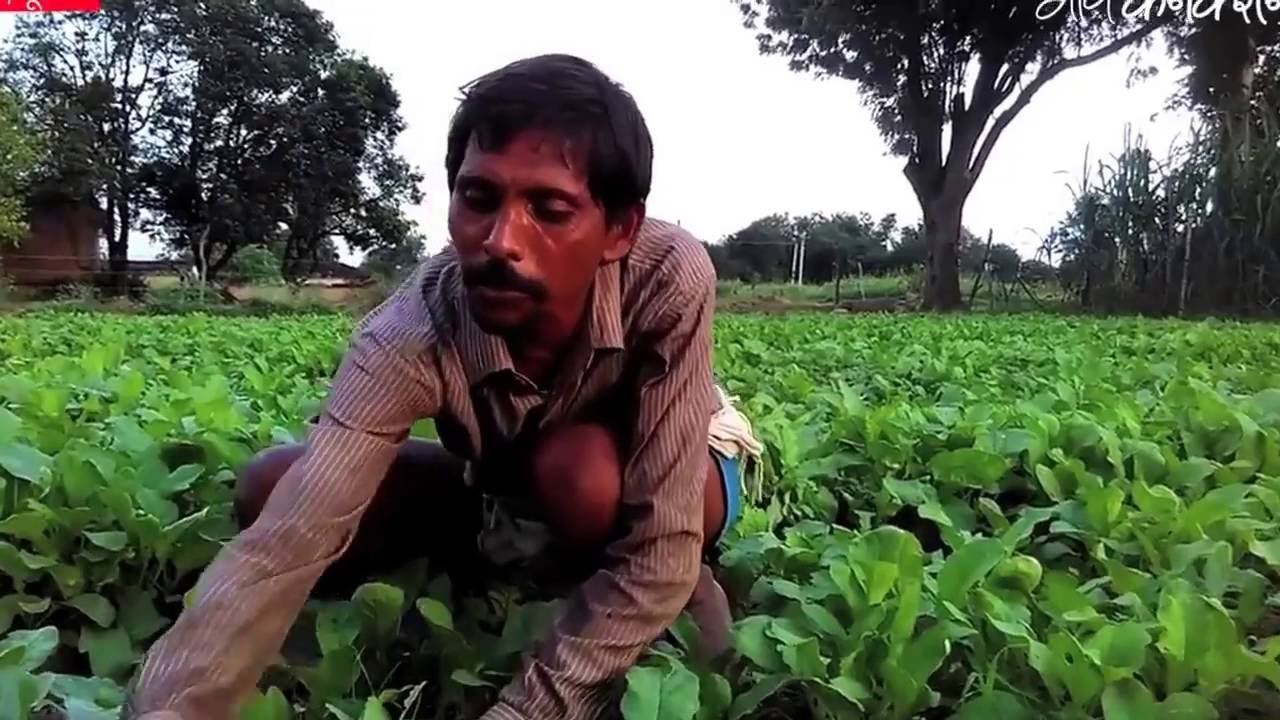 employment news tamilnadu सब्जियों की खेती से मुनाफा कमा रहे बुंदेलखंड के किसान