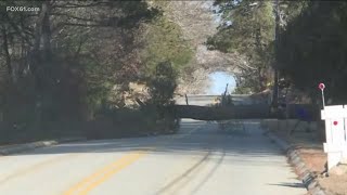 Strong winds bring down trees, power lines around Connecticut