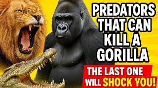 Top 5 Predators That Can Kill a Gorilla (You Won’t Believe #1!)
