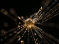 Liquid Flex Circuits The Shape-Shifting Tech of Tomorrow