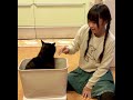 プロアスリート 対 絶対になでさせてくれない黒猫