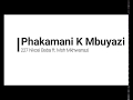 SHEMBE: Phakamani K Mbuyazi ft. Msh. Mkhwanazi - Nkosi Baba