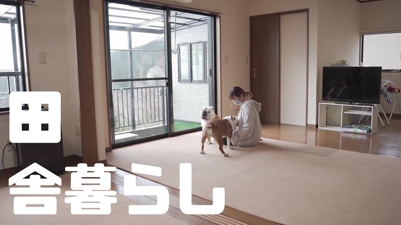 東京生活をやめて 愛犬と人里離れた田舎暮らし始めました ブルドッグぶるまるチャンネル 東京生活をやめて 愛犬と人里離れた田舎暮らし始めました ブルドッグぶるまるチャンネル