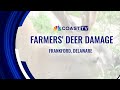 DNREC expands deer damage program as Delaware farmers face crop losses