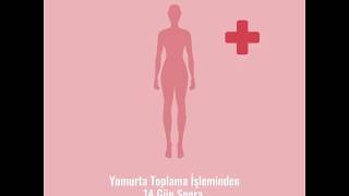 Tüp Bebek Nasıl Yapılır?