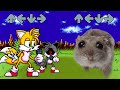 FNF Chasing but Sad Hamster Becomes MEME vs Tail's exe Sing it - Friday Night Funkin'