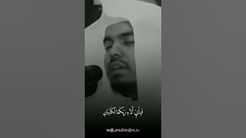 تلاوة خاشعة جدا 🍃الشيخ ياسر الدوسري🍃 حالات واتس اب 🍃