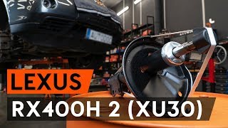 Wie LEXUS RX400h 2 (XU30) vorderes Federbein wechseln [AUTODOC TUTORIAL]