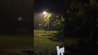 #cold #rain, temp has dropped. Glad I got all my plants up.  #chilly  #October  #fall