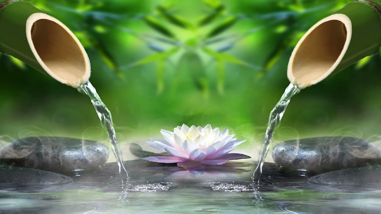 Bamboo Water Fountain Relaxing Music, Background Music, Meditation Music, Stress Relief YouTube