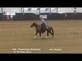 Pawnshop Diamond Joe Harper Open Derby Fence NYRCHA Eastern Finals 20 June 2026