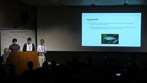 2018 Nanoscale Microscopy - Tagging Myelins in the Brains of Brain Degenerating Patients