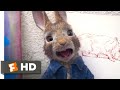 Peter Rabbit - Rabbit Wrestling Scene | Fandango Family