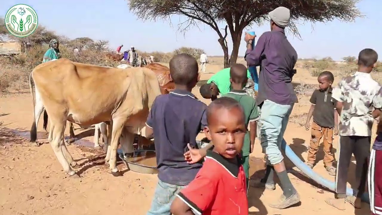 Halkanina Waa Tuuladda Daymo Xun Oo Ay Haayada Alraxma Gaadhsiisay Biyo Dhaamis