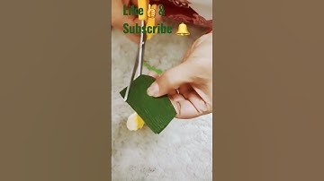 Easy DIY Paper Flower Quilled Photo Frame 💐