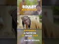 Soulby Officiel Disponible A Partir Du 10 Juillet 2025 Prod By Arcam Soulby Officiel Disponible A Partir Du 10 Juillet 2025 Prod By Arcam