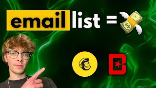 How to Setup Mailchimp to 3X your Beat Sales!!!