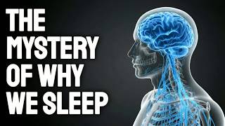 The REAL Reason Humans Sleep 8 Hours And Why It Once Nearly Killed Us ｜ History for Sleep