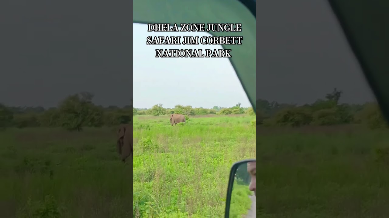 DHELA ZONE JUNGLE SAFARI