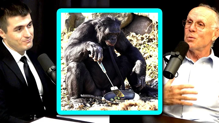 How modern humans beat the neanderthals | Richard ...