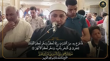 برواية السوسي عن أبي عمرو ما تيسر من سورة إبراهيم الشيخ محمد هاشم عبد العزيز 